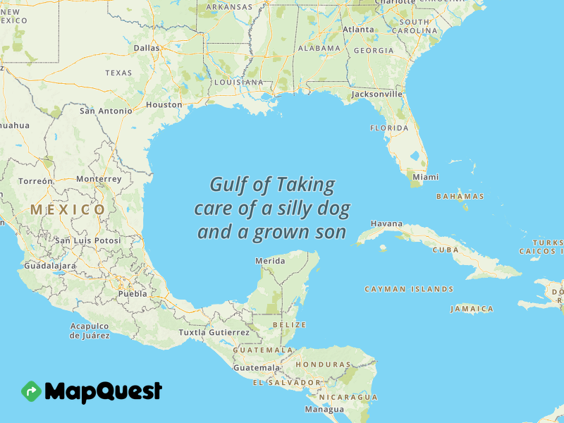 Map of the Gulf of Taking care of a silly dog and a grown son